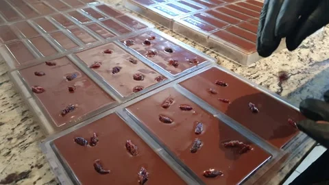 Putting rasin on chocolate Video stock 263160270