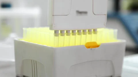 Putting a replacement pipette tip onto a multi-channel automatic pipette. Stock Footage 294341032