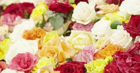Putting Rose In Bouquet Stock Footage 49543838