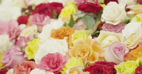 Putting Rose In Bouquet Stock Footage 49544090
