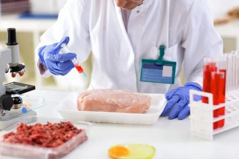 Putting sample of chemical with injection in to the test chicken meat Stock Photos