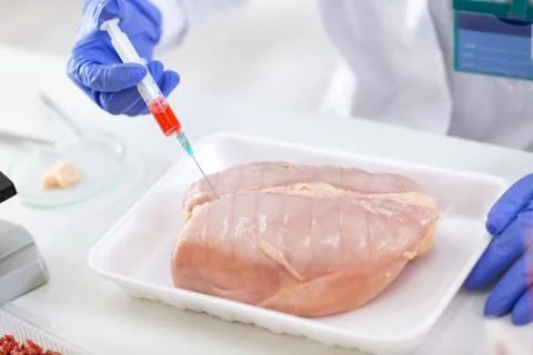 Putting sample of chemical with injection in to the test chicken meat Foto stock