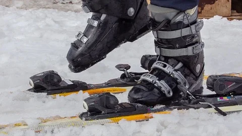 Putting on skis Stock Footage 76038080