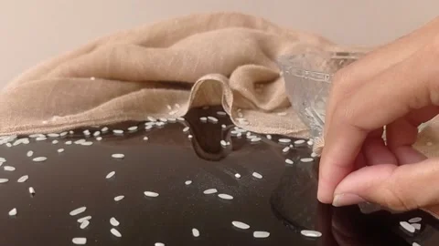 Putting slices of bread into a purple box Stock Footage 146255278