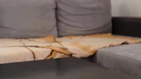 Putting a small lemon tree in a flower pot on a black table in a room Stock Footage 121508605