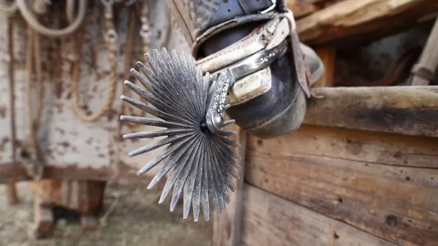 Putting on spurs Stock Footage 77047470