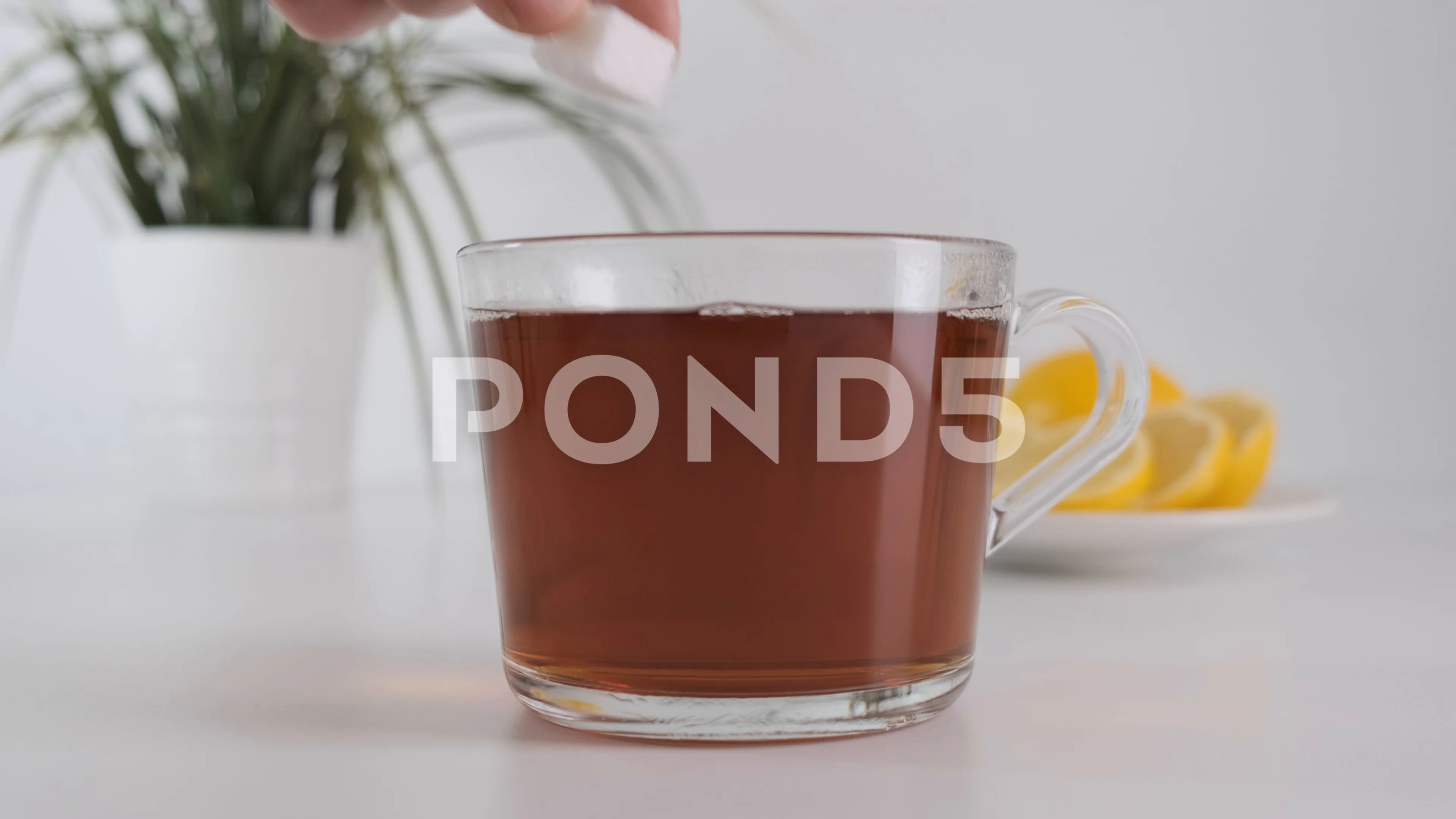 Putting sugar cubes in glass cup hot tea. Close up., image size:3840x2160