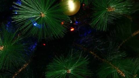 Putting toy on a Christmas tree. Stock Footage 82595623