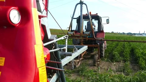 Putting up typhon irrigation system in a peppers field. Sunny summer day. Stock Footage 72217134