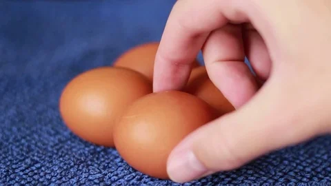 Putting white egg on yellow eggs 動画素材 76691003