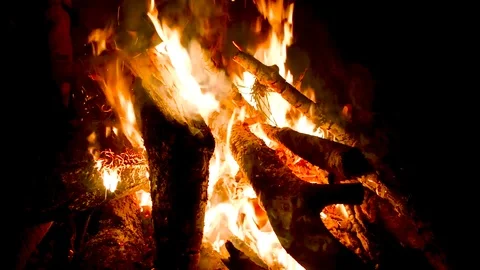 Putting wood on a fire 3 Vídeo Stock 86149311