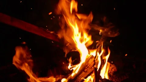 Putting Wood On A Fire Stock Footage 82751570