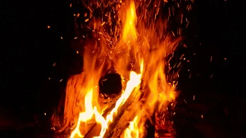 Putting Wood On A Fire Stock Footage 82751572