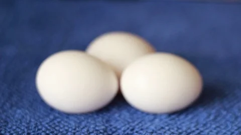Putting yellow egg on white eggs Stock Footage 76690974