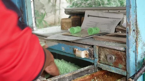 Putu cake Stock Footage 309061306