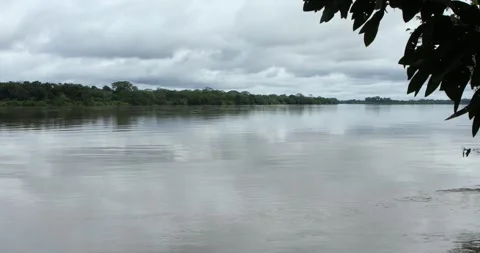 Putumayo river in colombian amazon Stock Footage 140310174