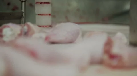 Puultry meat processing Stock Footage 56174616