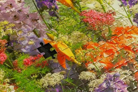 Puzzle missing a piece Stock Photos