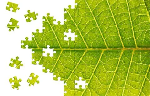 Puzzle with missing pieces Stock Photos