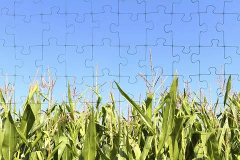 Puzzle Stock Photos