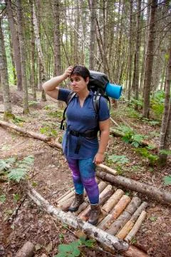 Puzzled about the woods Stock Photos