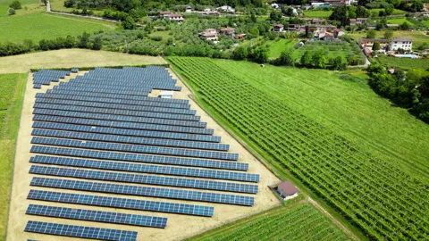 PV panel rows on gently sloped terrain, vineyards surrounding the site Video stock 318850007