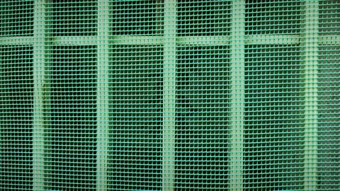 PVC Plastic net Foto stock