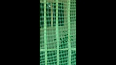 PVC Plastic netting Stock Footage 337075169