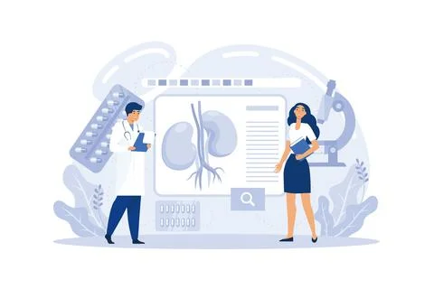 Pyelonephritis flat vector illustration. Kidney infection Stock Illustration