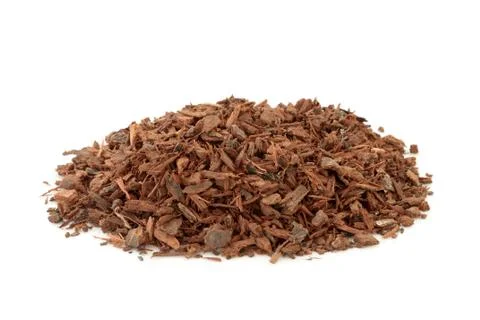 Pygeum Herb Bark Stock Photos