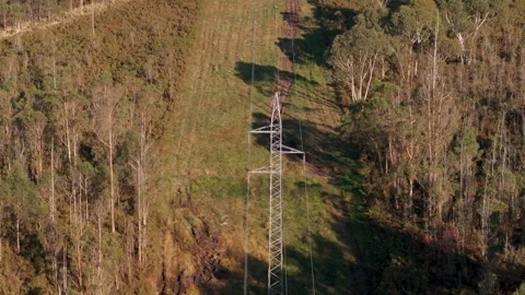 Pylon Tower Through Dense Rural Nature Forest Stock Footage 300097531