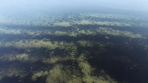 Pylons From old jetty Video stock 179312196