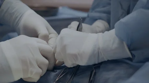 Pyometra Stock Footage 280997552