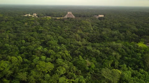 Pyramid and Jungle in Chichen itza , Mexico Stock Footage 158054133