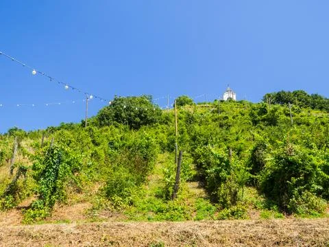 Pyramid Hill, Maribor Stock Photos