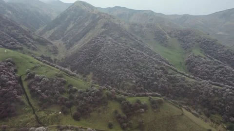 Pyramid Mountain Blossom Trees Triangle Composition Aerial (Clip 2) Stock Footage 339795579