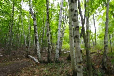 Pyramid Point Trail, Sleeping Bear Dunes National Lakeshore, Michigan Stock Photos