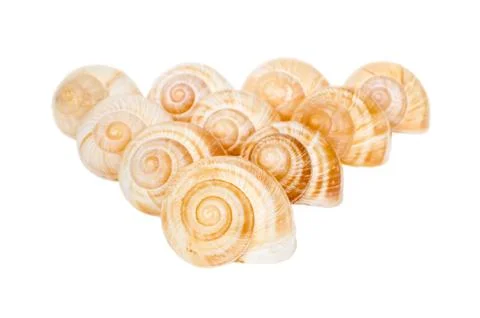 Pyramid of spiral shells isolated Stock Photos