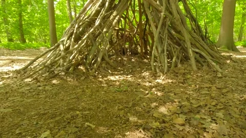 A pyramid with trees in a forest. Stock Footage 244581995