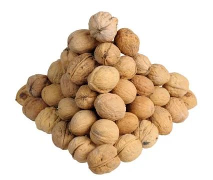Pyramid of walnuts Stock Photos