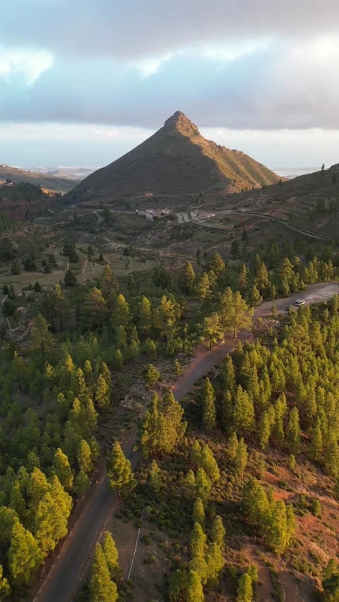 Pyramidal Mountain Pine Forest and Clouds Drone Shot Footage 4K Vertical Stock Footage 233222562