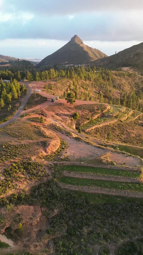 Pyramidal Mountain Pine Forest Valley Drone Shot Footage 4K Vertical Stock Footage 233222560