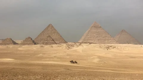 Pyramids and camel Video stock 157822700