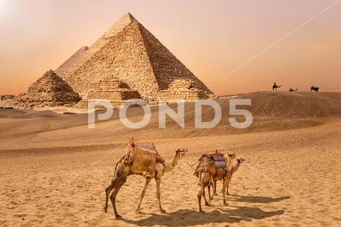 The Pyramids and camels in the Giza desert, Egypt Stock Photos