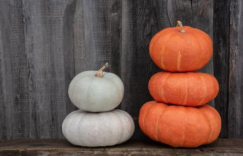 Pyramids of pumpkins Foto stock