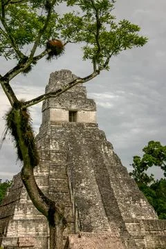 Pyramids Tikal Guatemala Stock Photos