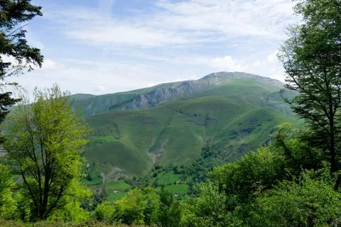 Pyrenean mountain Stock Photos