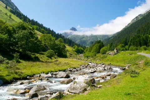 Pyreneen Midi 写真素材