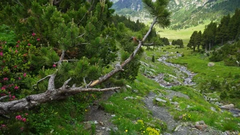 Pyrenees landscapes Stock Footage 160334515