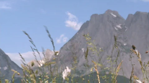 Pyrenees mountains grass Stock-Footage 485298